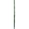 Ekena Millwork Piedmont Ceiling Medallion (Canopies up to 6 1/2"), 67 1/8"W x 48 5/8"H x 1 7/8"P, Athenian Green CM67PEAGF - alternate 4